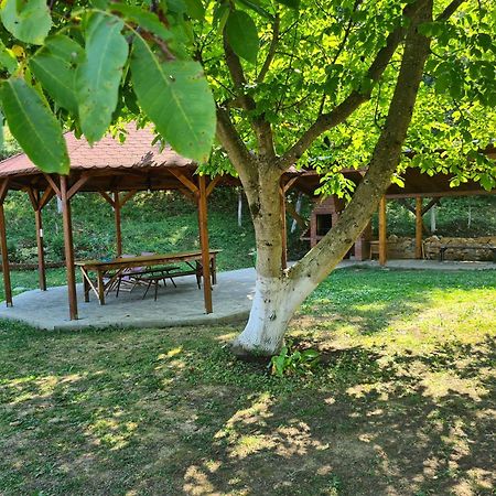 Salas U Bregu In Cheile Carasului Crasova Exteriör bild