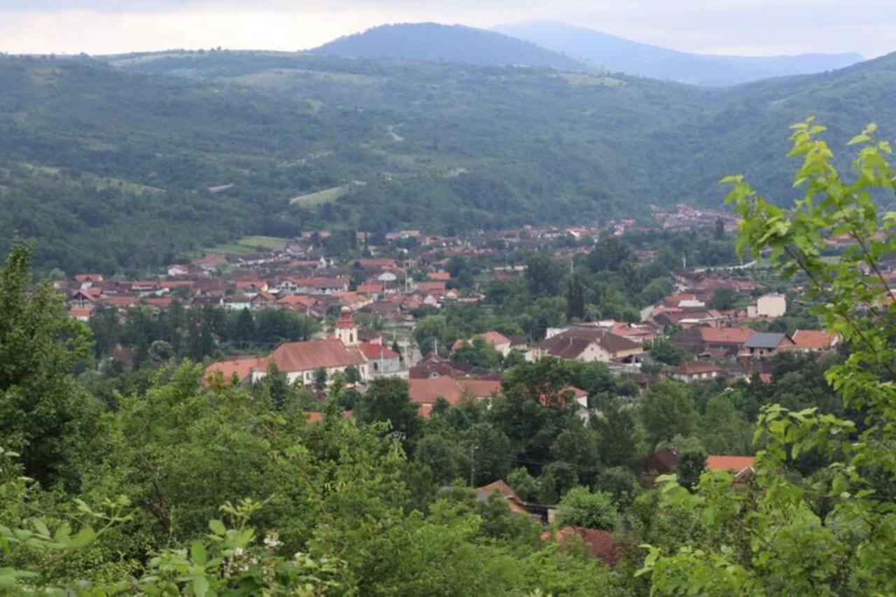 Salas U Bregu In Cheile Carasului Crasova Exteriör bild