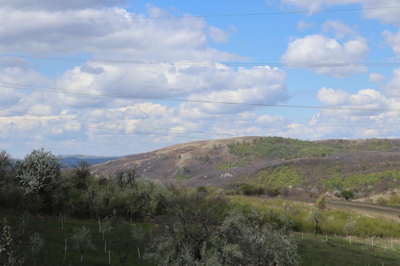 Salas U Bregu In Cheile Carasului Crasova Exteriör bild