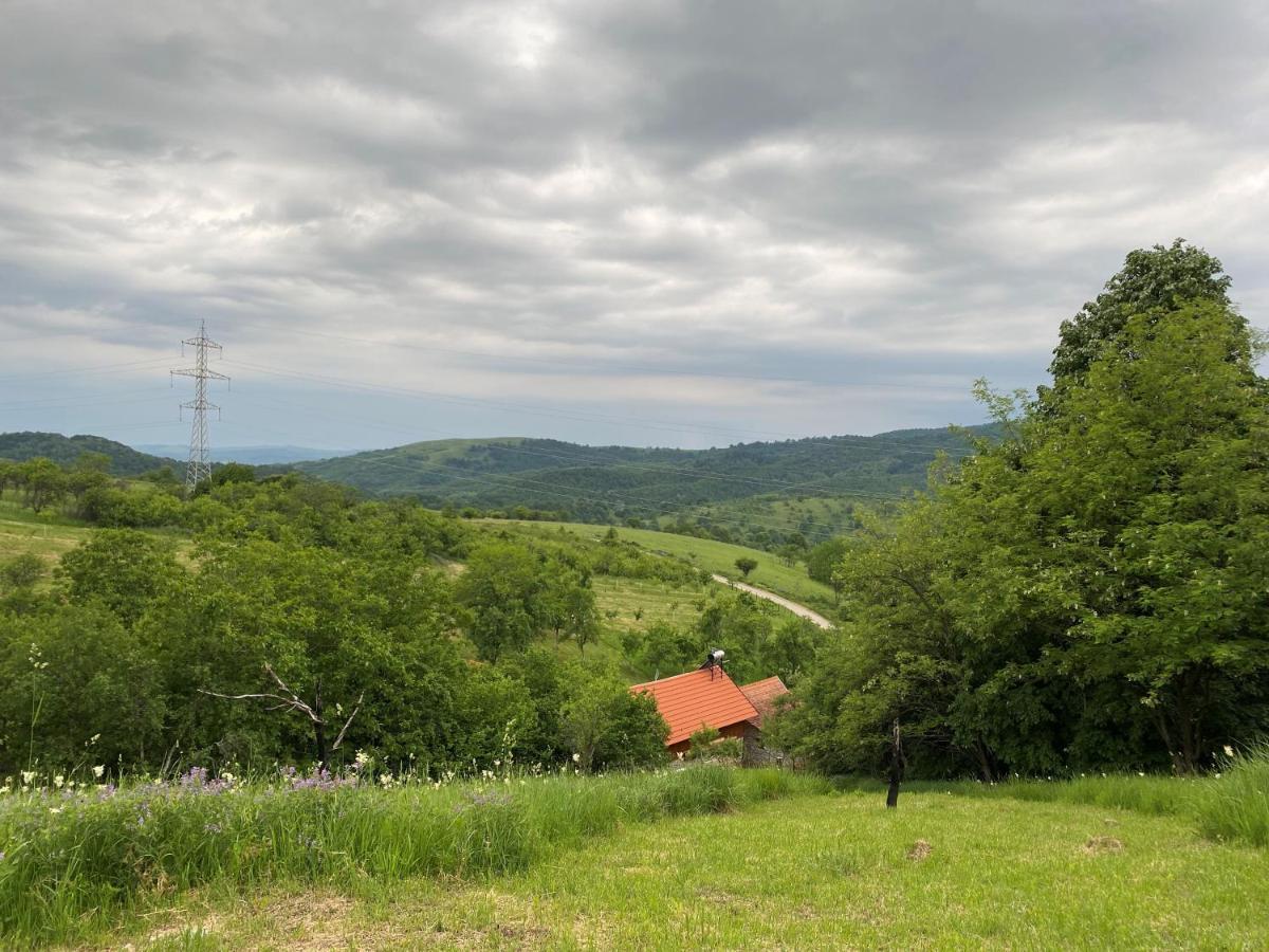 Salas U Bregu In Cheile Carasului Crasova Exteriör bild